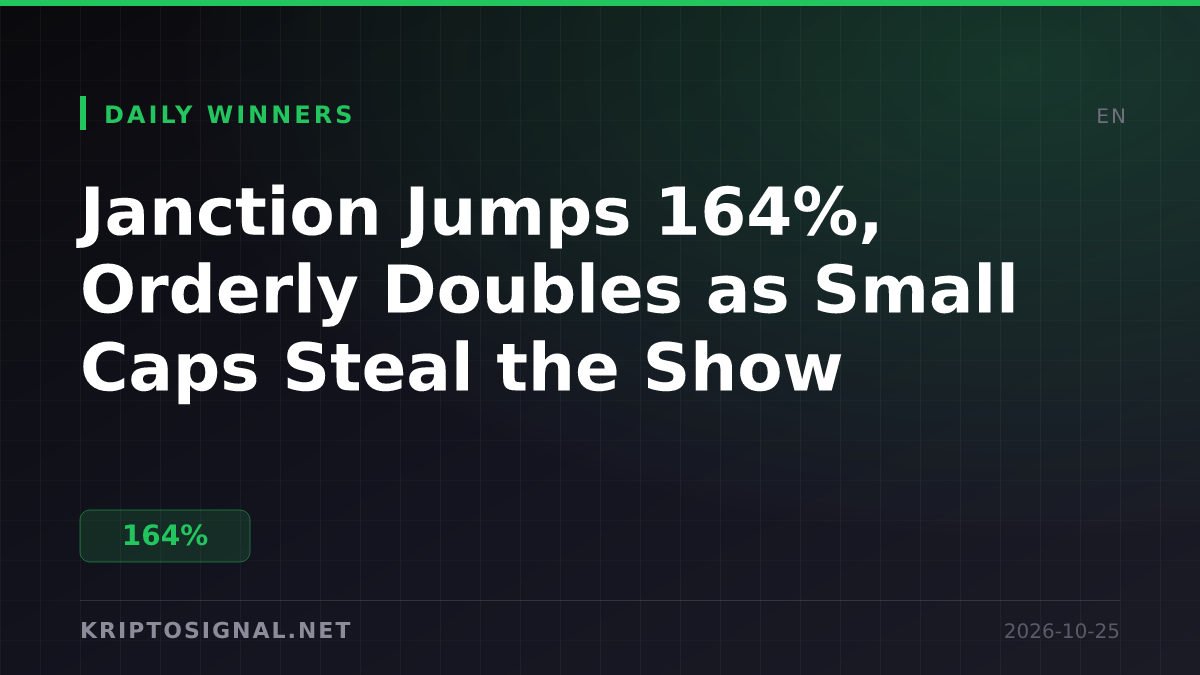 Janction Jumps 164%, Orderly Doubles as Small Caps Steal the Show