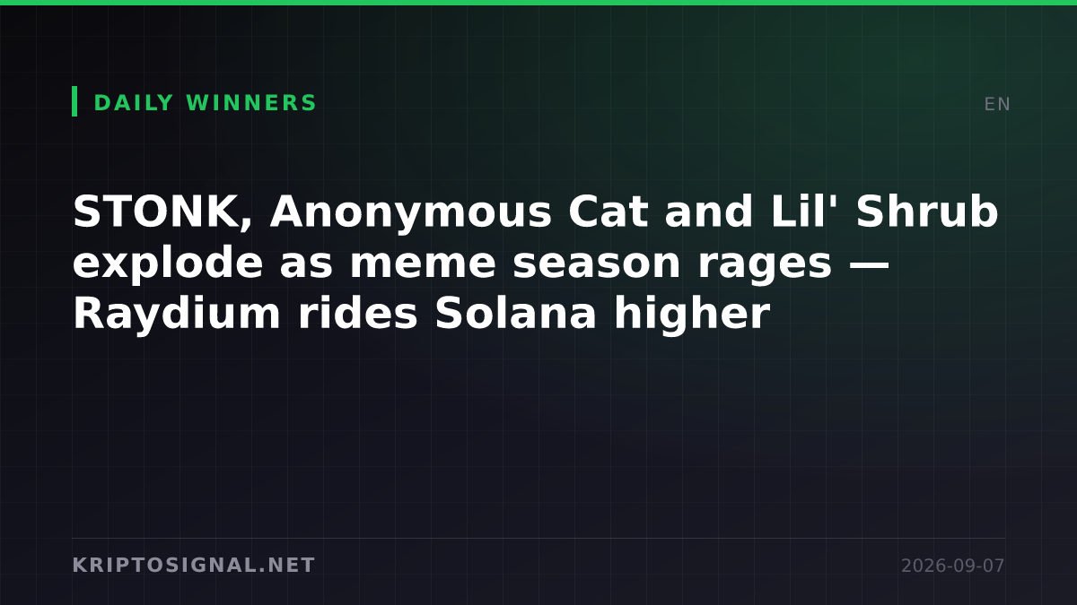 STONK, Anonymous Cat and Lil' Shrub explode as meme season rages — Raydium rides Solana higher